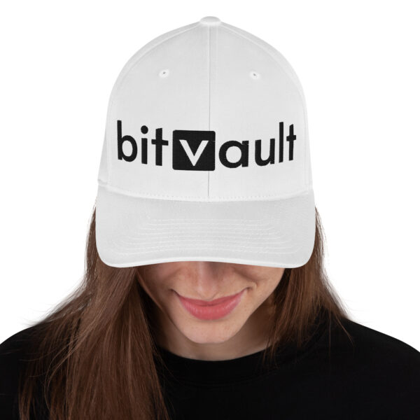 BitVault Structured Twill Cap