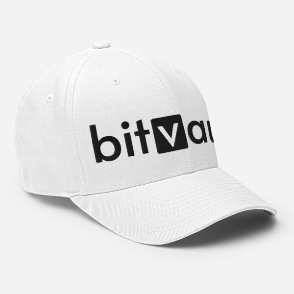 BitVault Structured Twill Cap - Image 2
